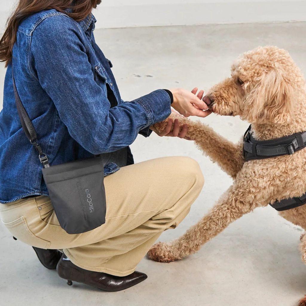 MiaCara-Leckerlibeutel-Gusto2.0-Asphalt-Mood2