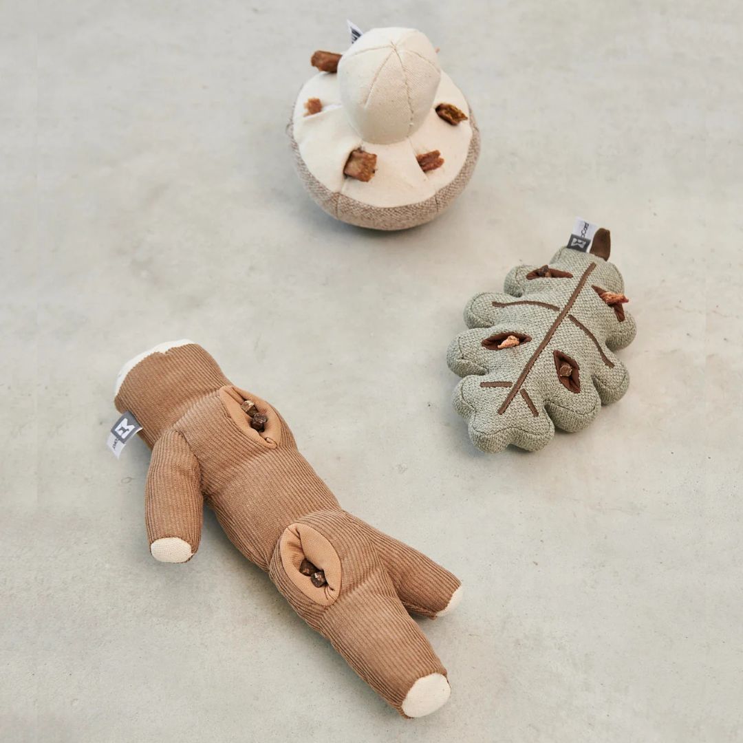 MiaCara-Schnüffelspielzeug-Foresta-2