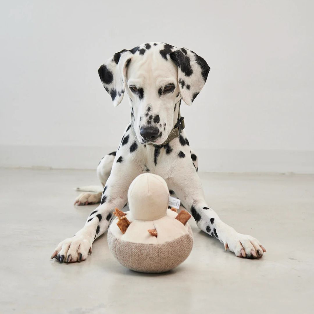 MiaCara-Schnüffelspielzeug-Foresta-Pilz-Mood