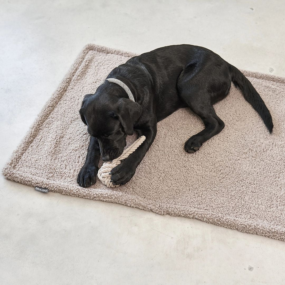 Miacara-Senso-Hundedecke-Greige-Mood