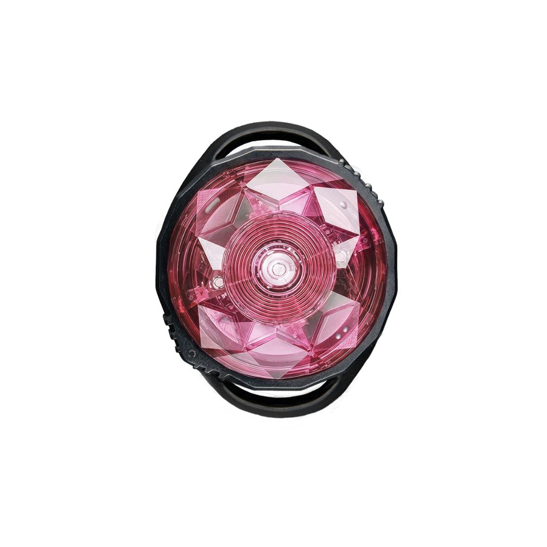 Orbiloc-Dog-Mini-Safety-Light-Blossom-3