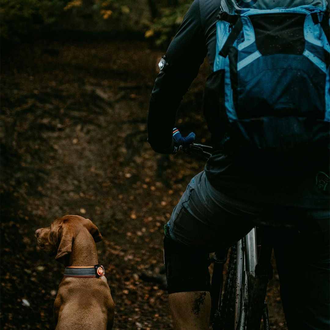 Orbiloc-K9-Active-Kit-Safety-Light-Mood4