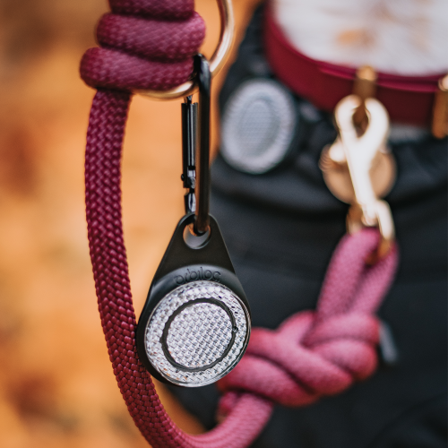 Orbiloc_Reflective_Carabiner_Close_Up_Dog_Coat
