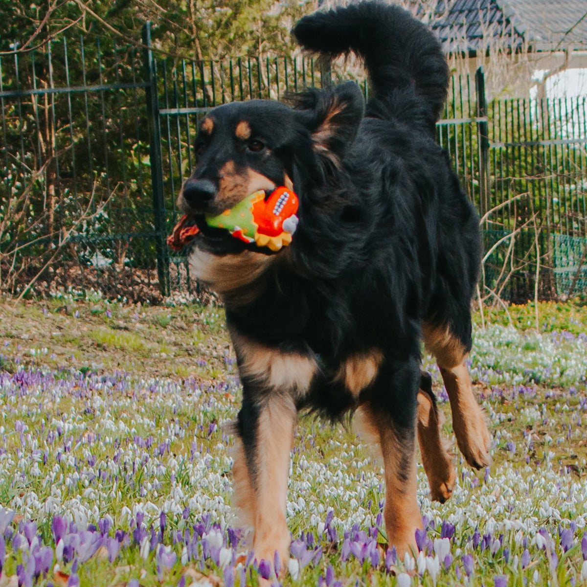 Hundespielzeug Otto The Dino