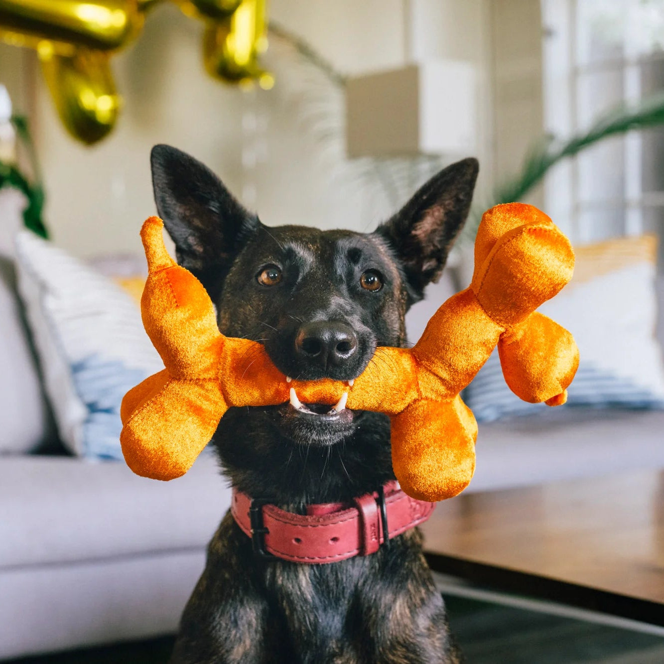 P.L.A.Y.-PartyAnimal-Balloon-Buddy-Mood