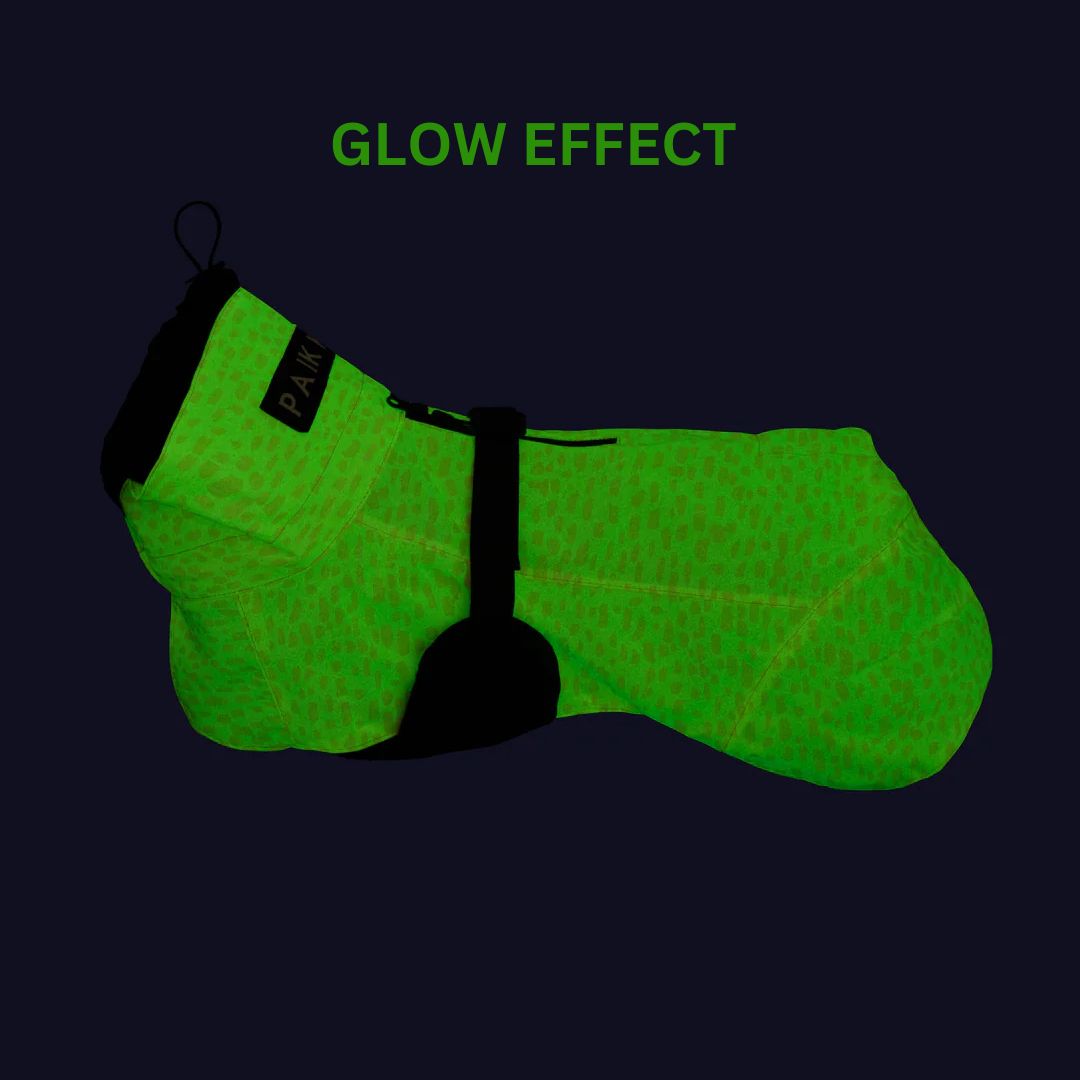 PAIKKA-Reflectierender-Hunderegenmantel-Glow-2.0-Peach-Hund-Glow