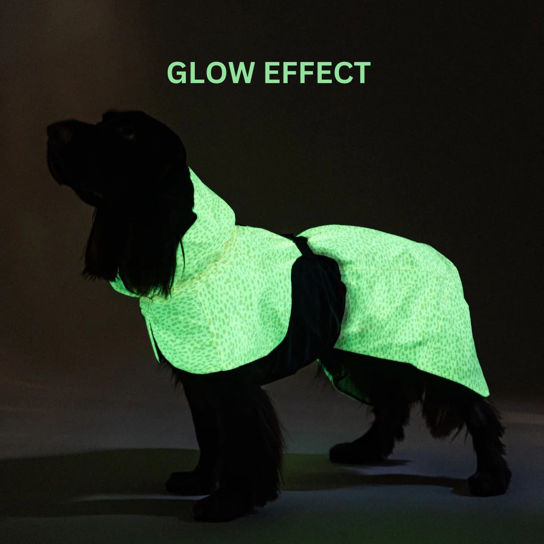 PAIKKA-Reflectierender-Hunderegenmantel-Glow-2.0-Peach-Hund-Gloweffect