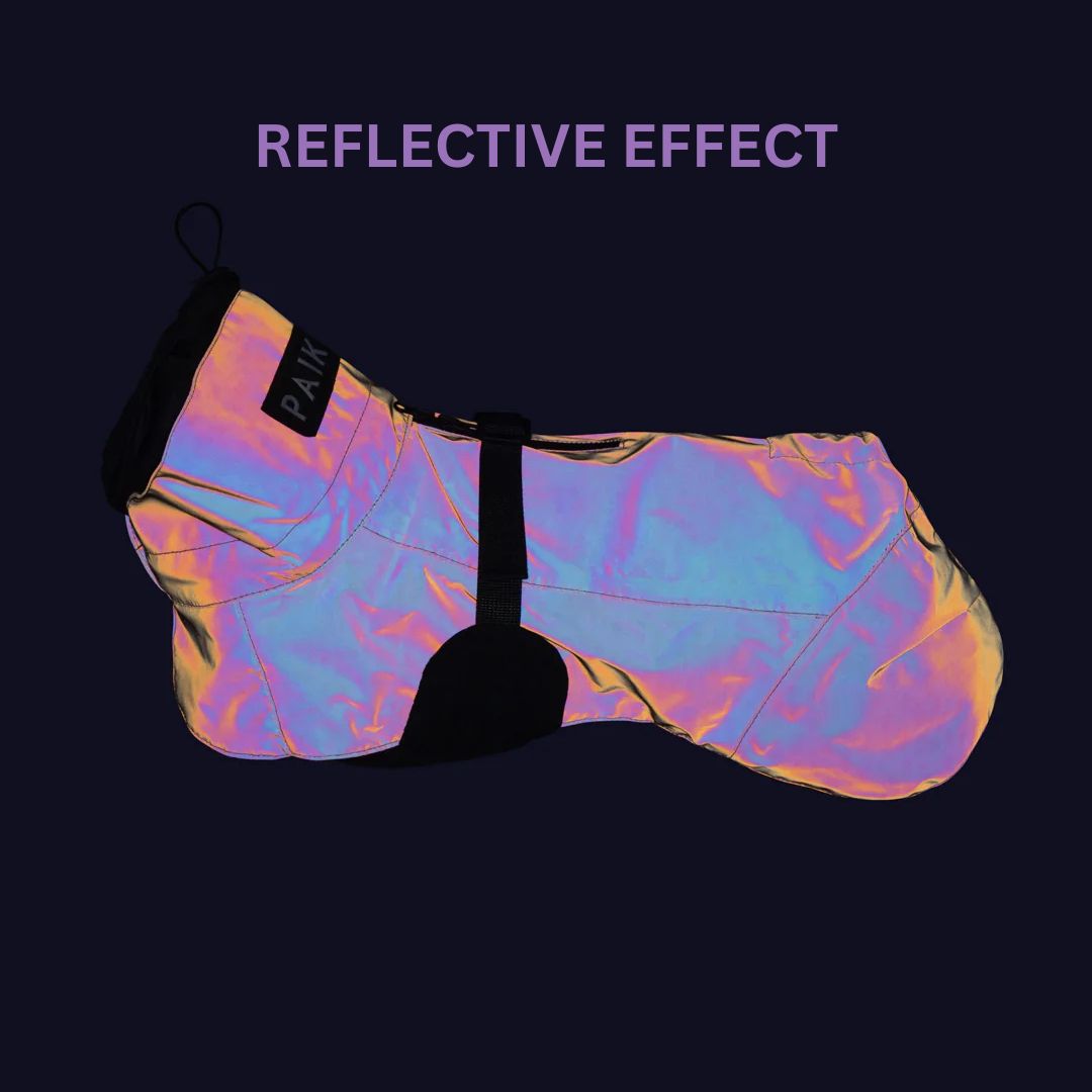 PAIKKA-Reflectierender-Hunderegenmantel-Glow-2.0-Peach-Hund-Reflective