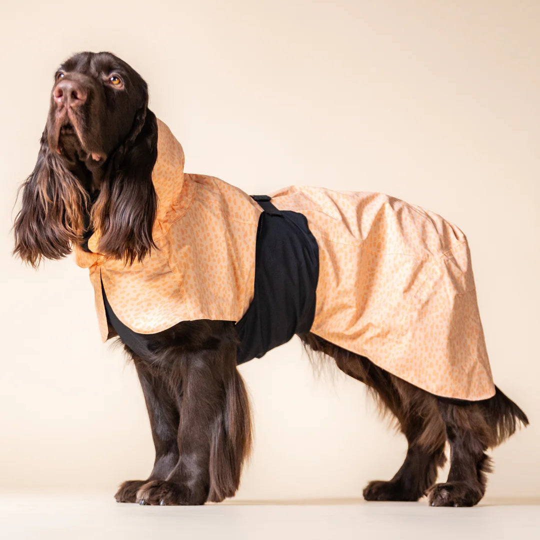 PAIKKA-Reflectierender-Hunderegenmantel-Glow-2.0-Peach-Hund