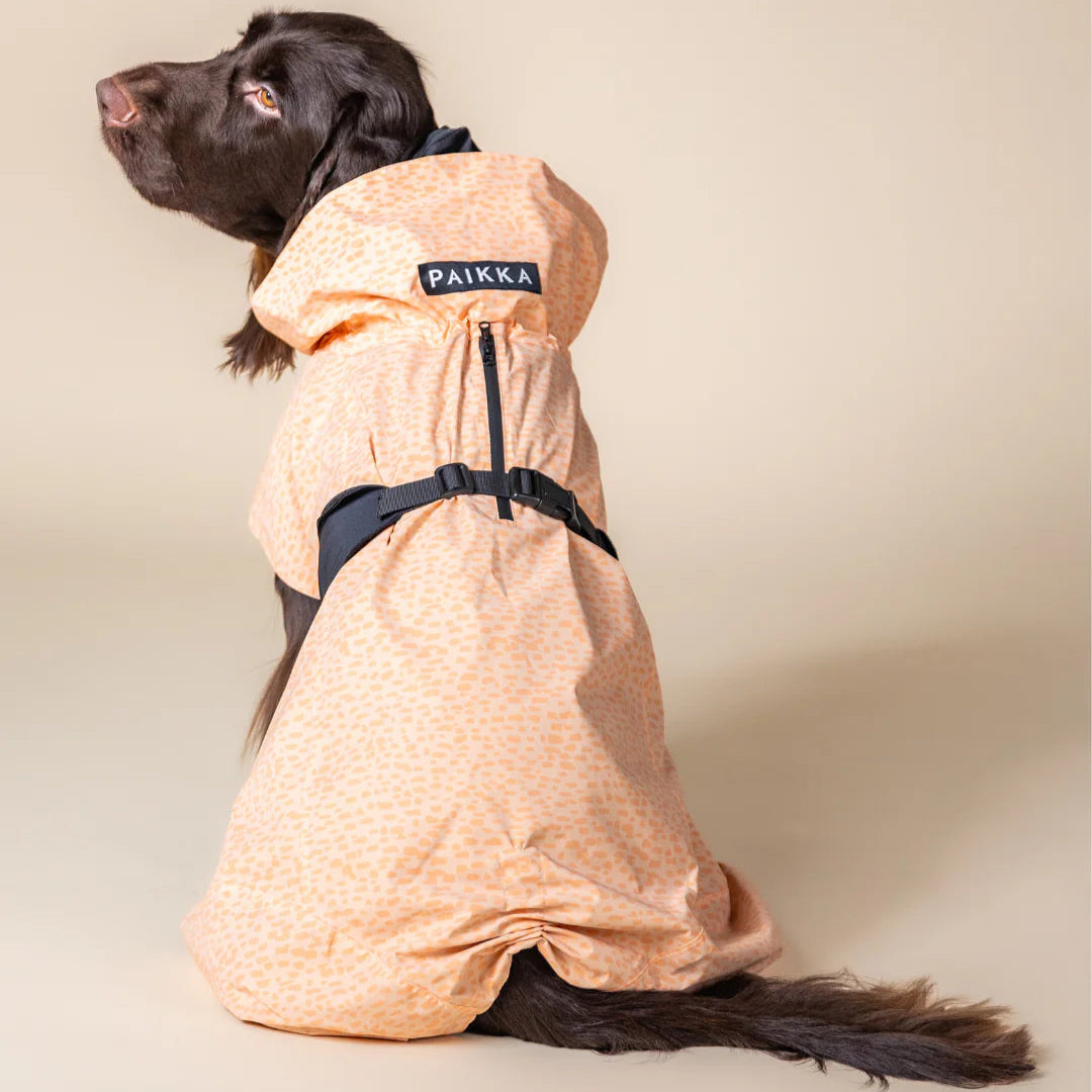 PAIKKA-Reflectierender-Hunderegenmantel-Glow-2.0-Peach-Hund2