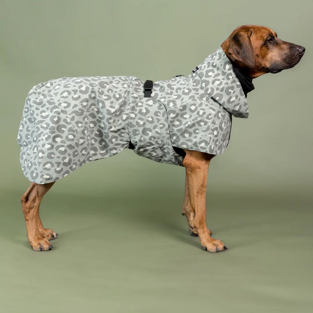 PAIKKA-Reflektierender-Hunderegenmantel-Lite-Green-Leo-Hund2