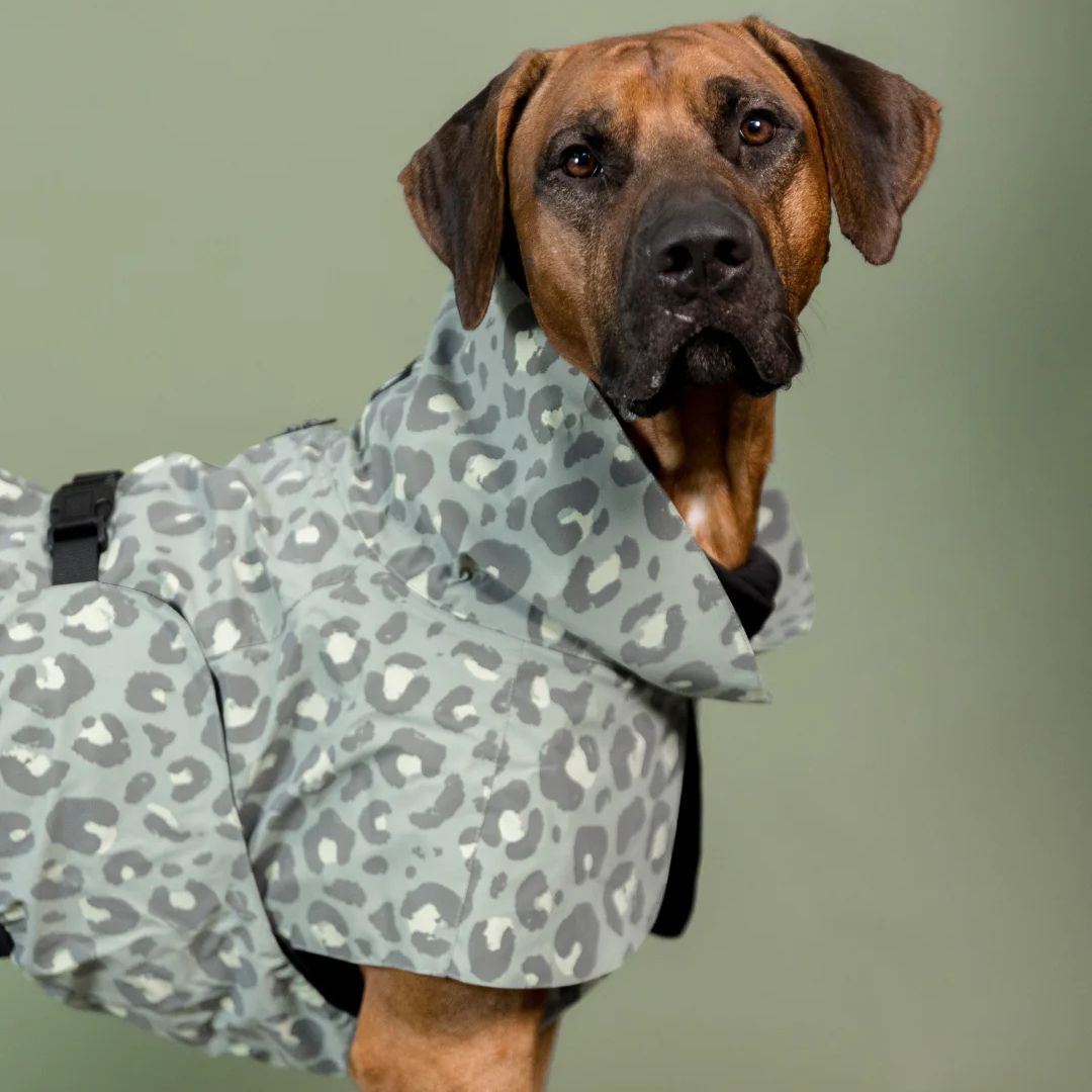 PAIKKA-Reflektierender-Hunderegenmantel-Lite-Green-Leo-Hund3