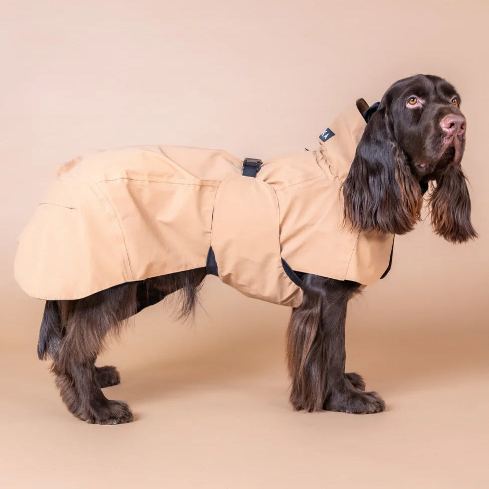 PAIKKA-Reflektierender-Hunderegenmantel-Lite-Taupe-Hund