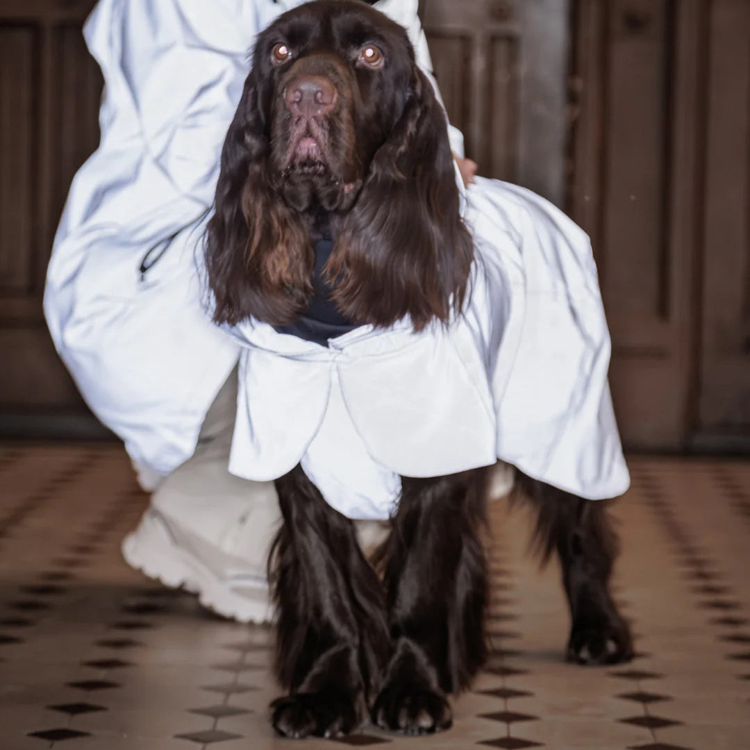 PAIKKA-Reflektierender-Hunderegenmantel-Lite-Taupe-Hund