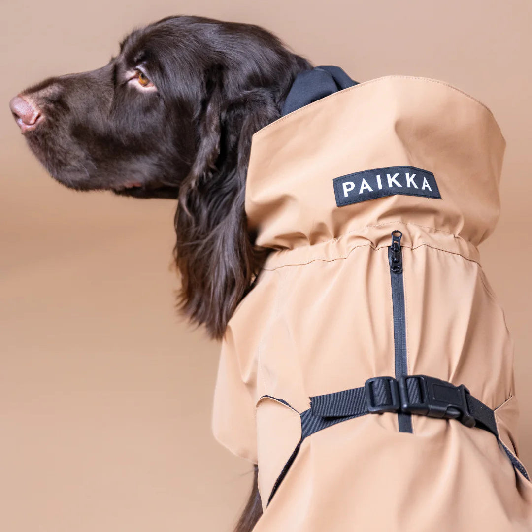 PAIKKA-Reflektierender-Hunderegenmantel-Lite-Taupe-Hund3