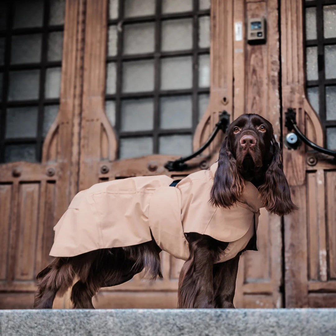 PAIKKA-Reflektierender-Hunderegenmantel-Lite-Taupe-Hund4