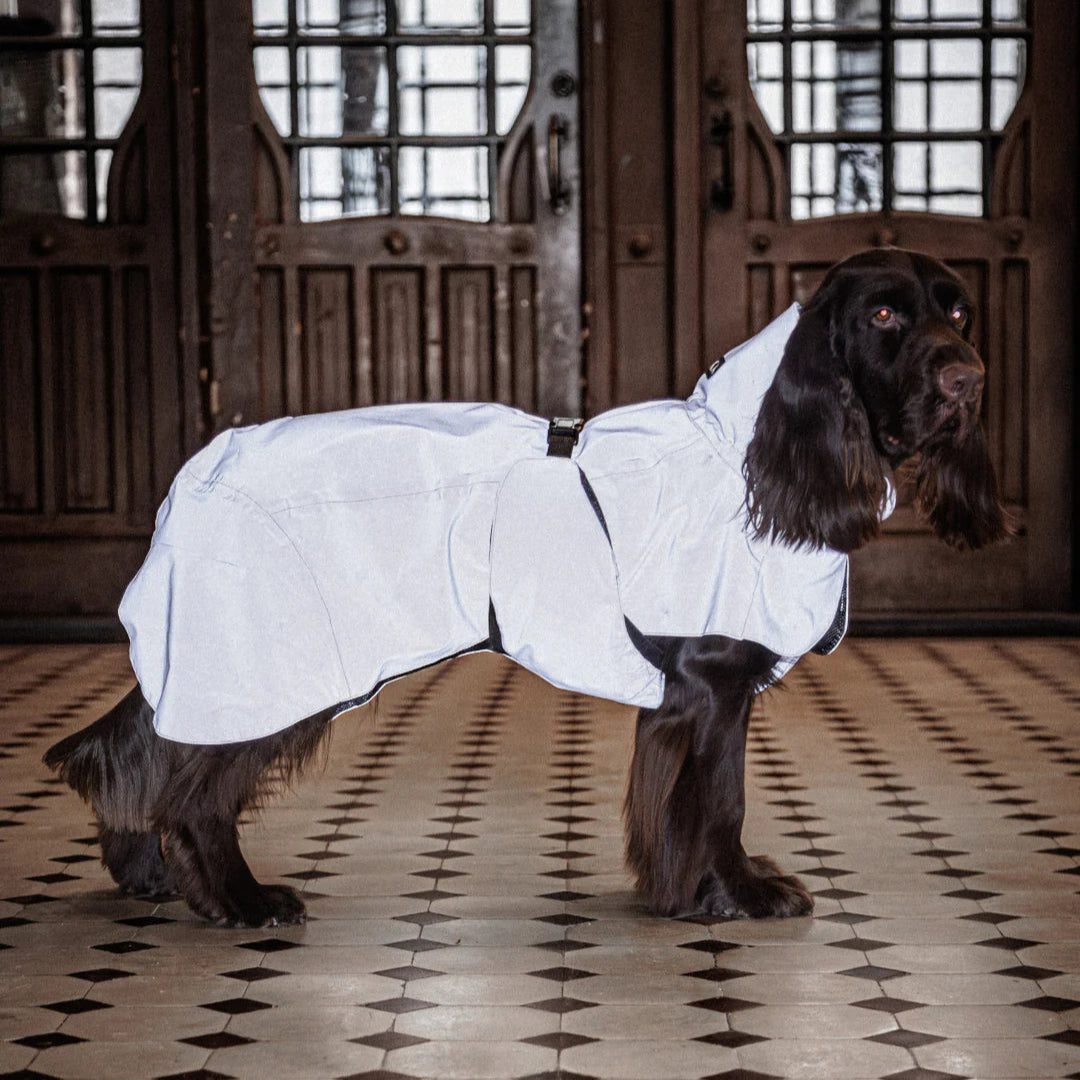 PAIKKA-Reflektierender-Hunderegenmantel-Lite-Taupe-Hund5