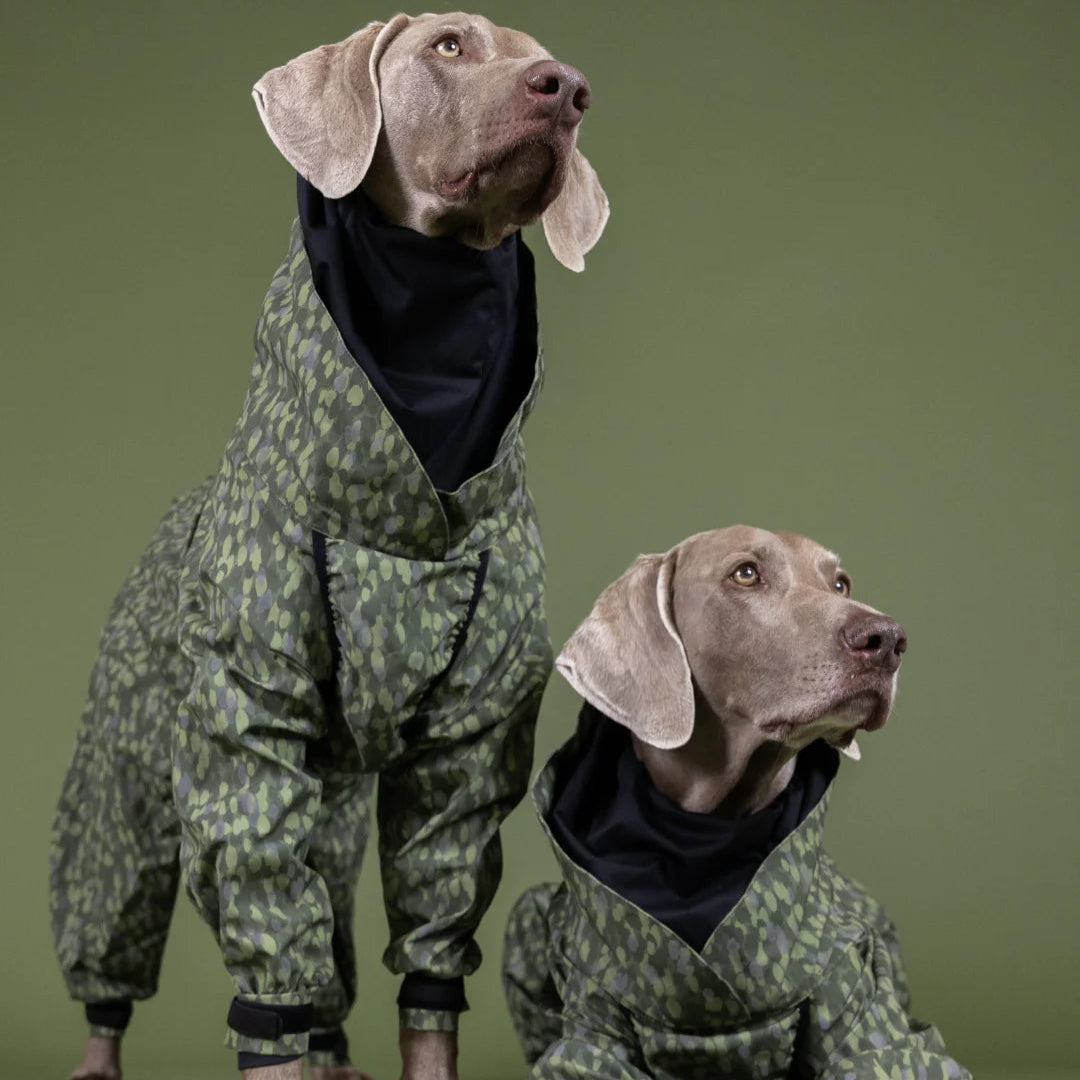 Paikka-Hunderegenmantel-Rain-Suit-Green-Hunde
