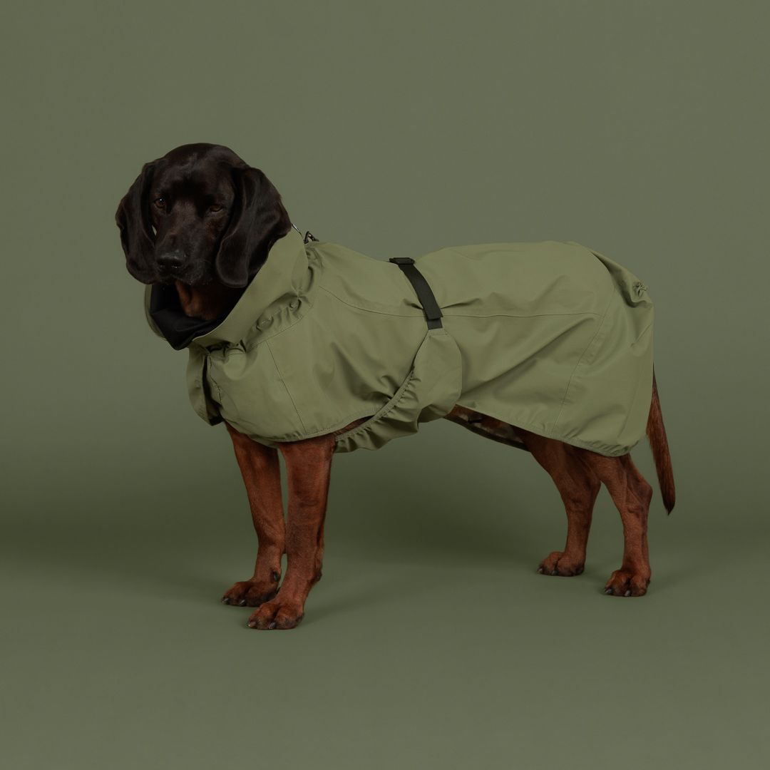 Paikka-Hunderegenmantel-Reflective-Shell-Jacket-Green-Hund2
