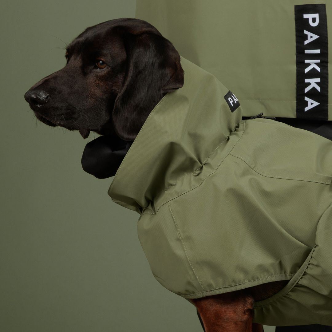 Paikka-Hunderegenmantel-Reflective-Shell-Jacket-Green-Hund4