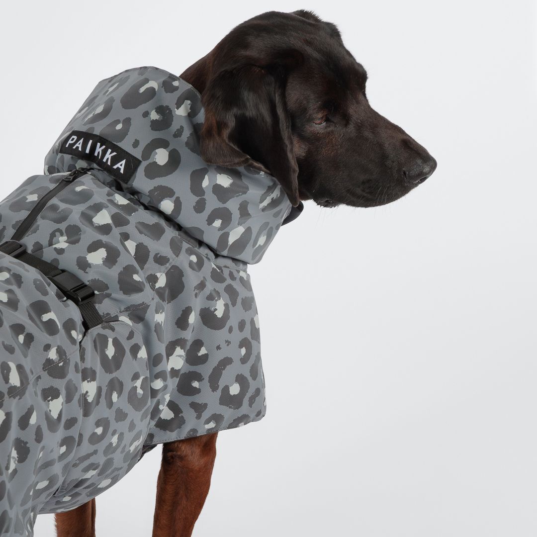 Paikka-Hundewintermantel-Seawool-Grey-Leo-3