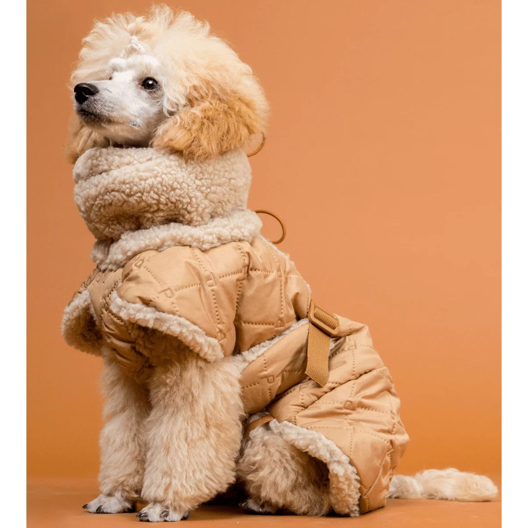 Paikka-Hundewintermantel-Sherpa-Camel-Hund3