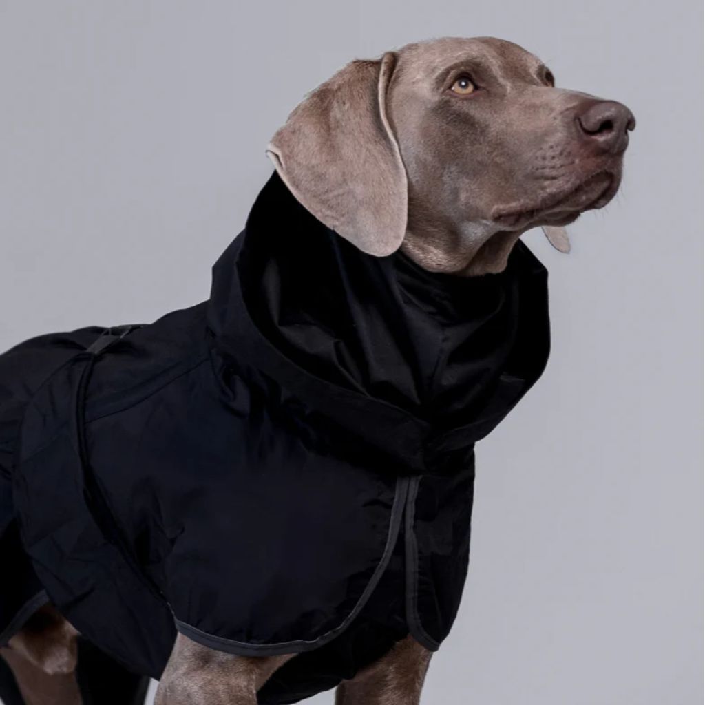 Paikka-Recovery-Hunderegenmantel-Lite-Black-Hund