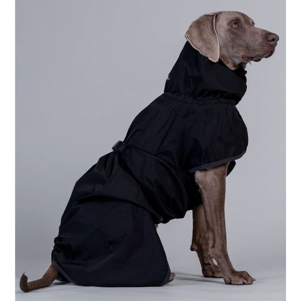 Paikka-Recovery-Hunderegenmantel-Lite-Black-Hund2