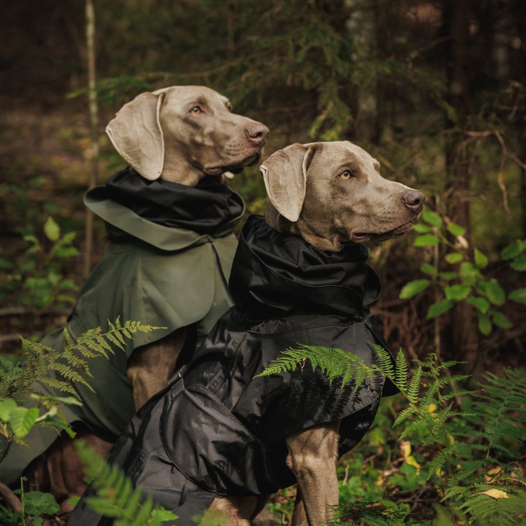 Paikka-Recovery-Raincoat-Black-Hund4