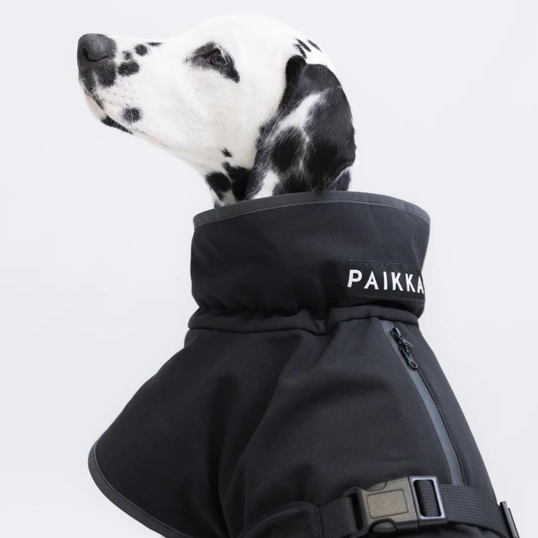 Paikka-Recovery-Softshelljacke-Schwarz-Hund2