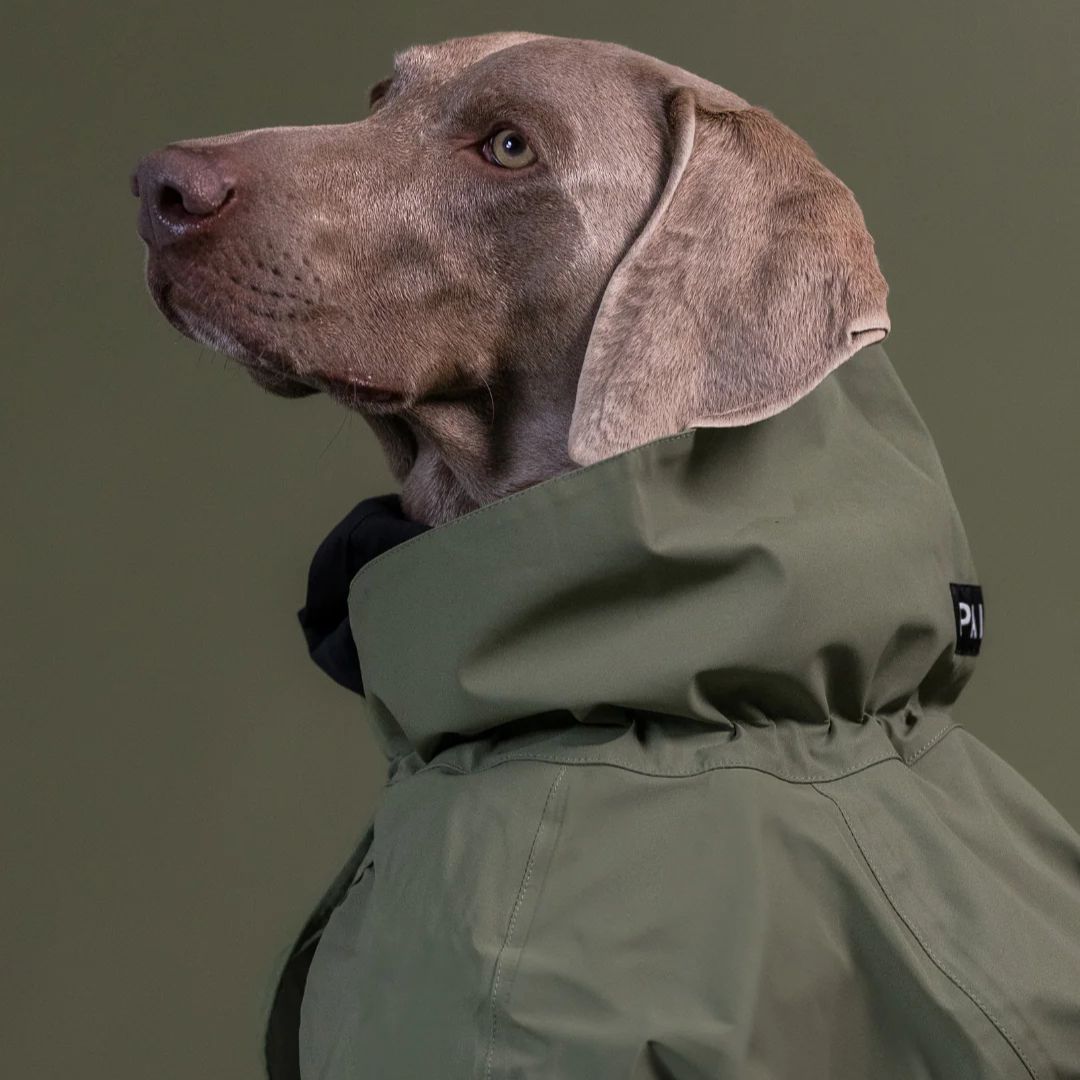 Paikka-Reflektierender-Hunderegenmantel-Green-Hund4