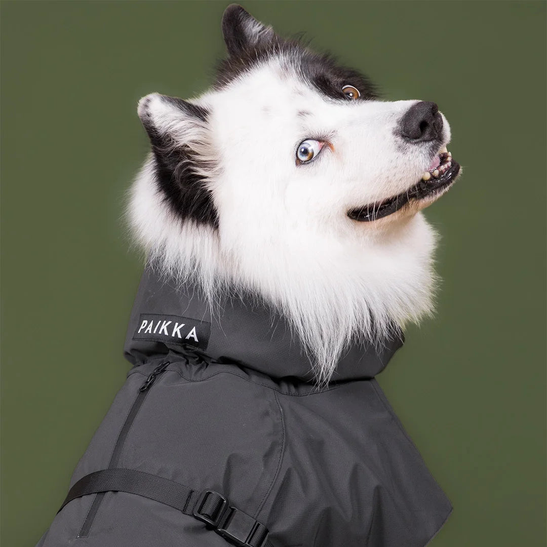 Paikka-Visibility-Raincoat-Seawool-Dark-Hund-7