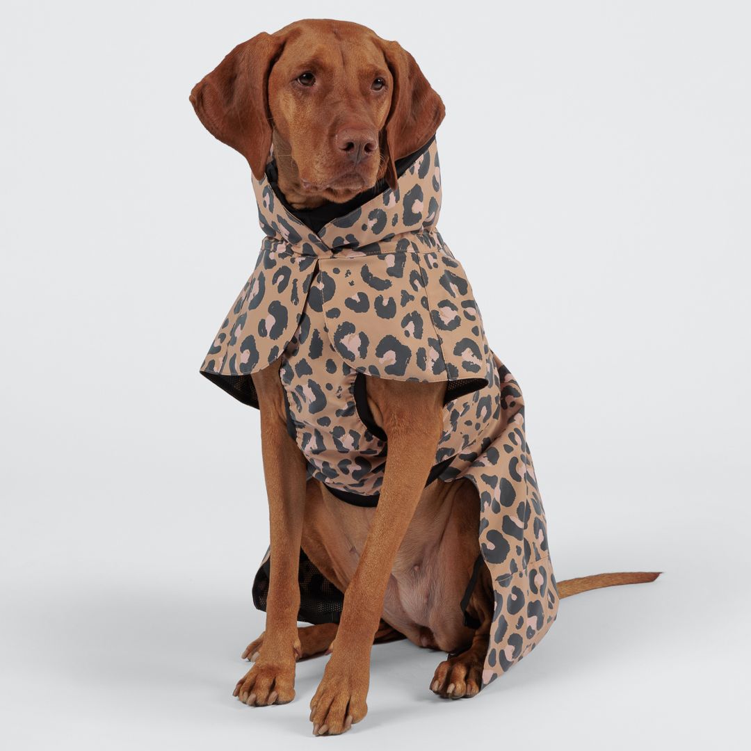 Paikka-reflektierender-Hunderegenmantel-Leo-Hund