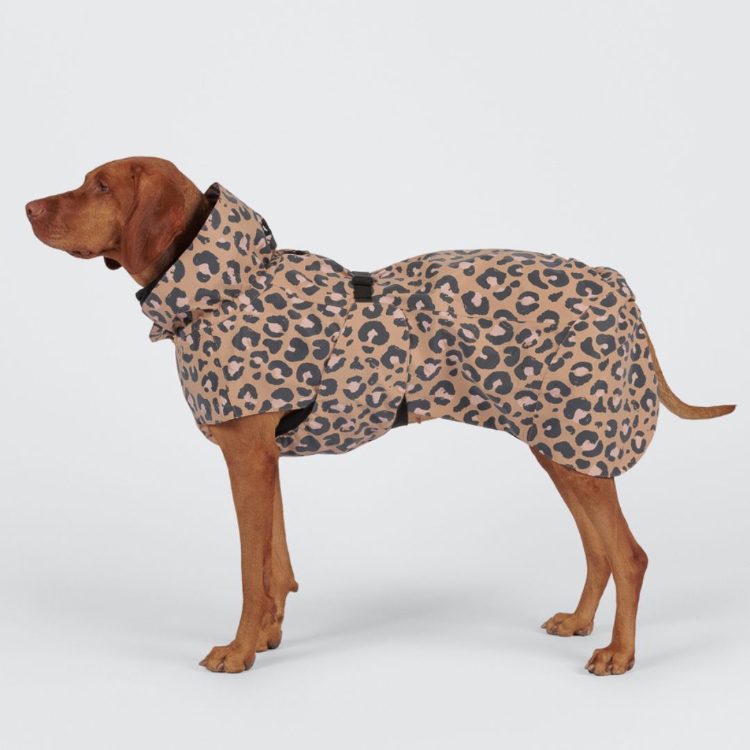Paikka-reflektierender-Hunderegenmantel-Leo-Hund2