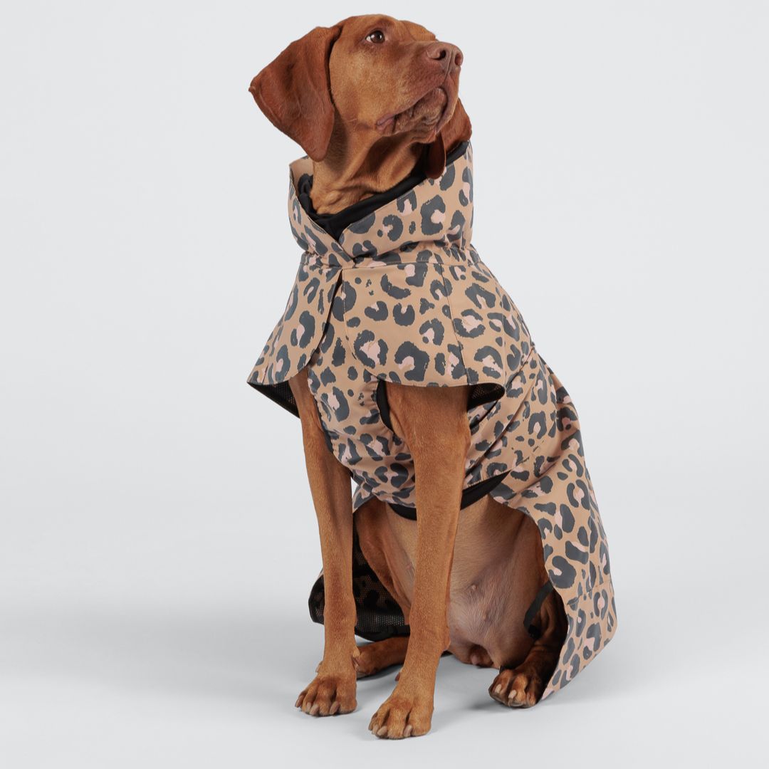 Paikka-reflektierender-Hunderegenmantel-Leo-Hund3