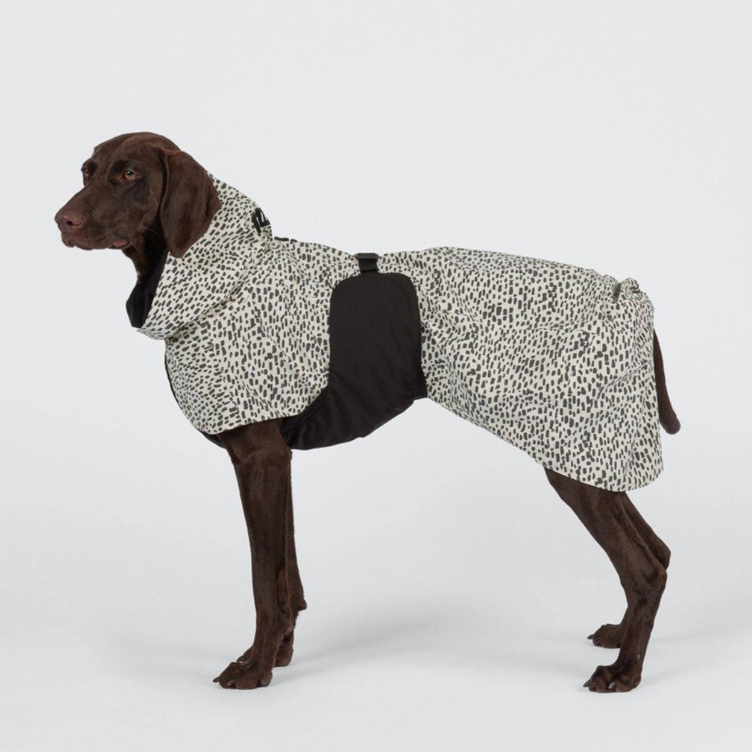 Paikka-vollreflektierender-Hunderegenmantel-2.0-Hund4