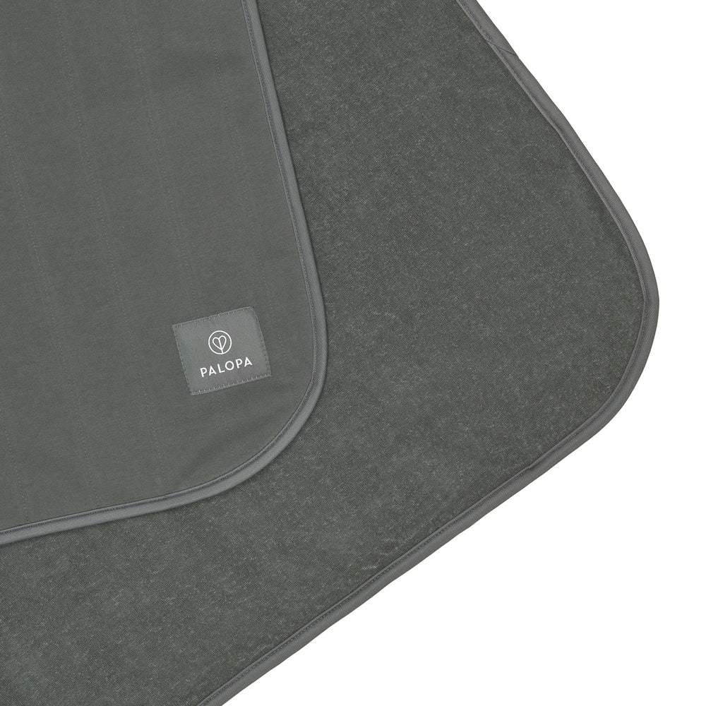 Palopa-Hunde-Schmutzmatte-Benti-Anthrazit-5