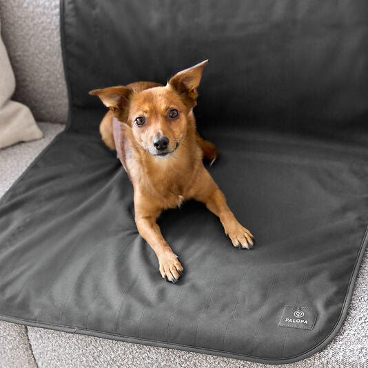 Palopa-Hunde-Schmutzmatte-Benti-Anthrazit-Mood