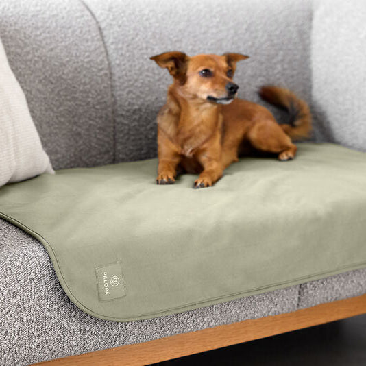 Palopa-Hunde-Schmutzmatte-Benti-Olive-Grün-Mood