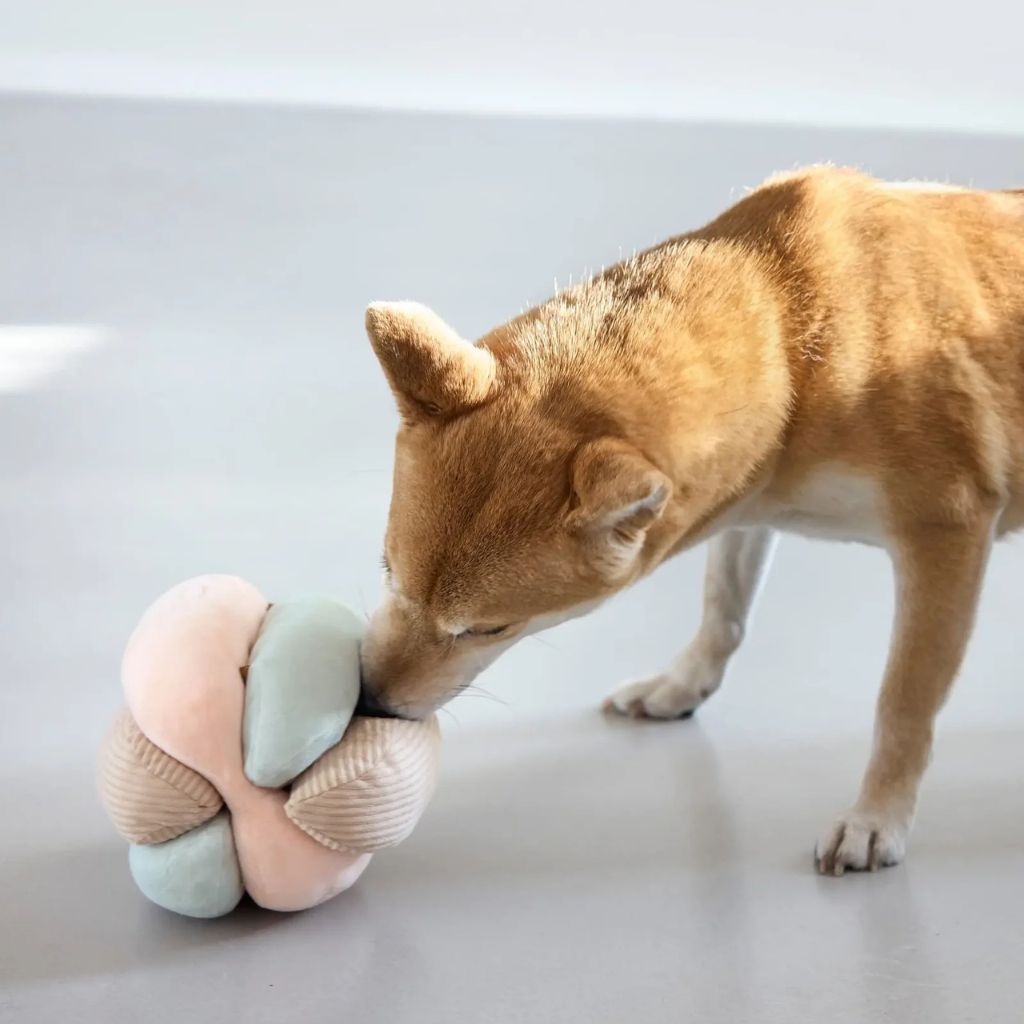 Palopa-Hundespielzeug-Brino-Hund