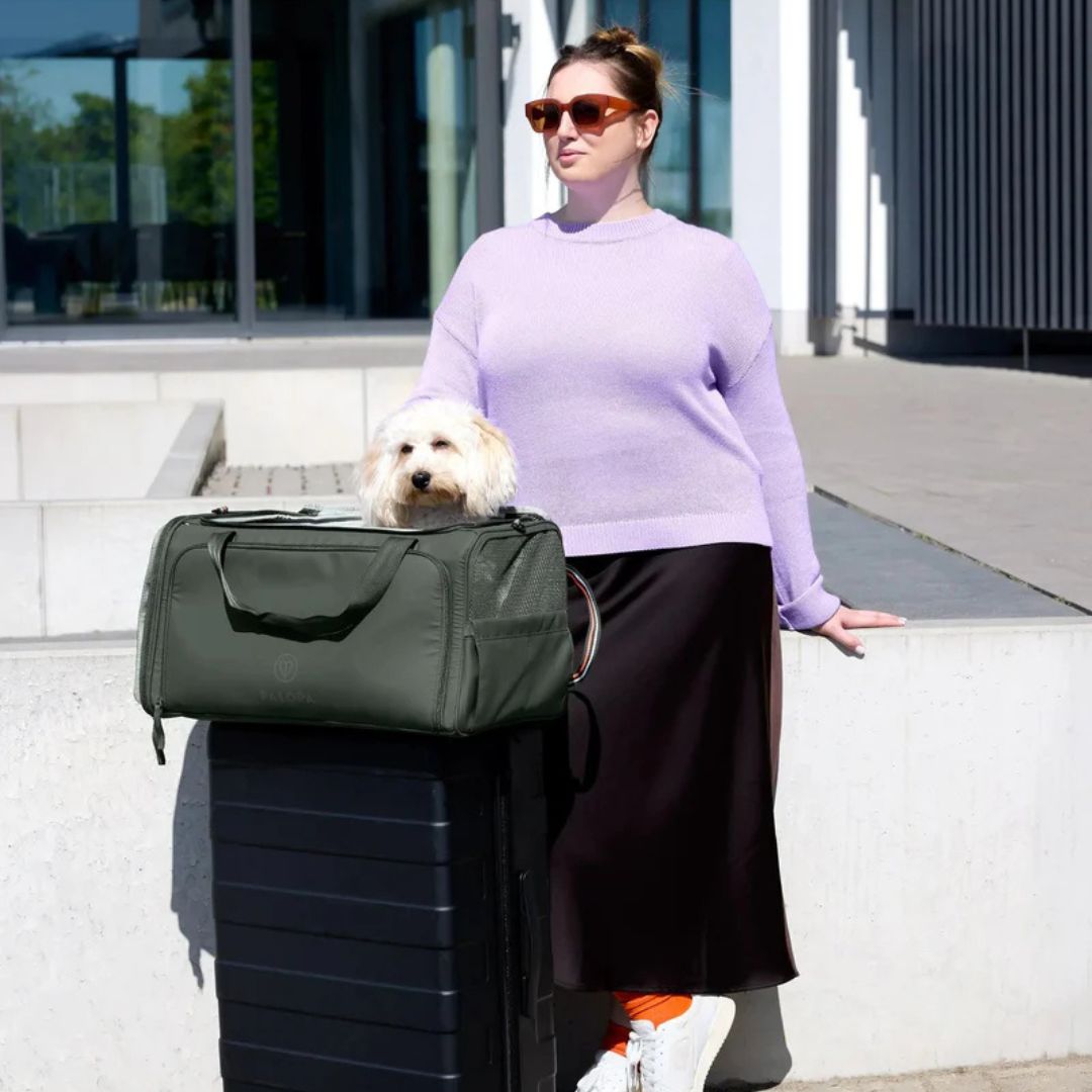 Palopa-Hundetragetasche-Benno-Dunkelgrün-Hund