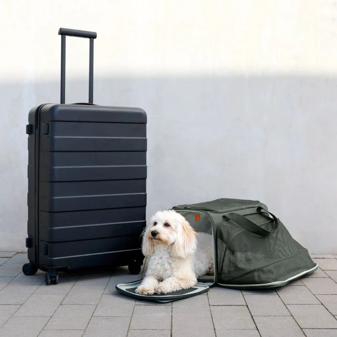 Palopa-Hundetragetasche-Benno-Dunkelgrün-Hund2