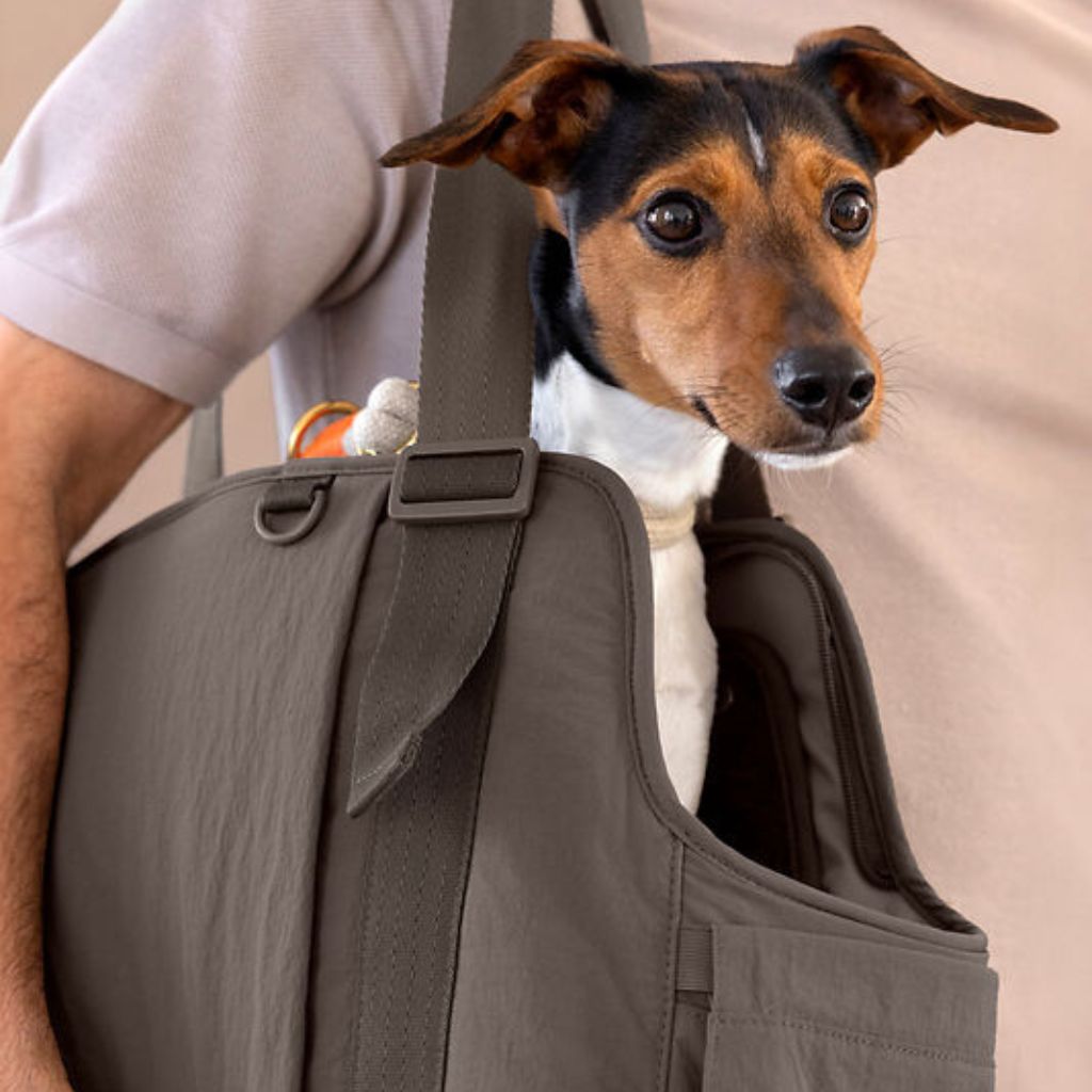 Palopa-Hundetragetasche-Weda-Crinkled-Chocolate-Mood2