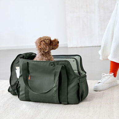Palopa-Hundetragetasche-Weda-Dunkelgrün-Hund-4