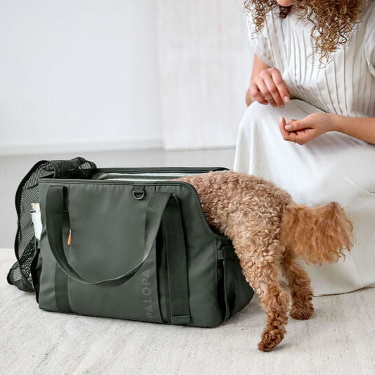 Palopa-Hundetragetasche-Weda-Dunkelgrün-Hund3