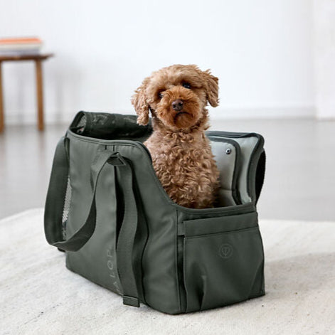 Palopa-Hundetragetasche-Weda-Dunkelgrün-Hund6