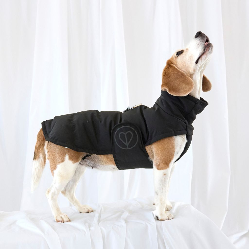 Palopa-Hundewintermantel-Nolia-Short-Black-Hund-2