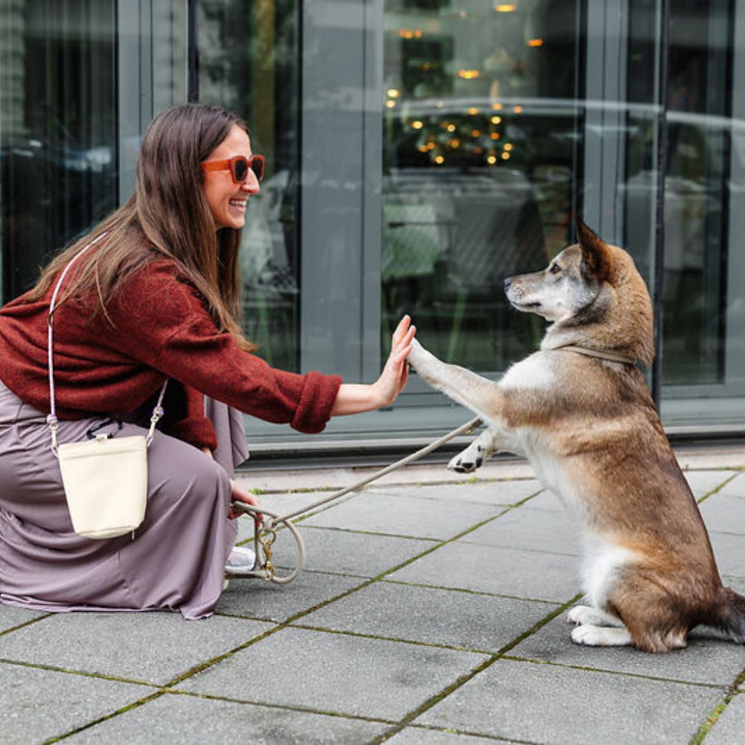 Palopa-Leckerlibeute-Karl-Creme-Mood