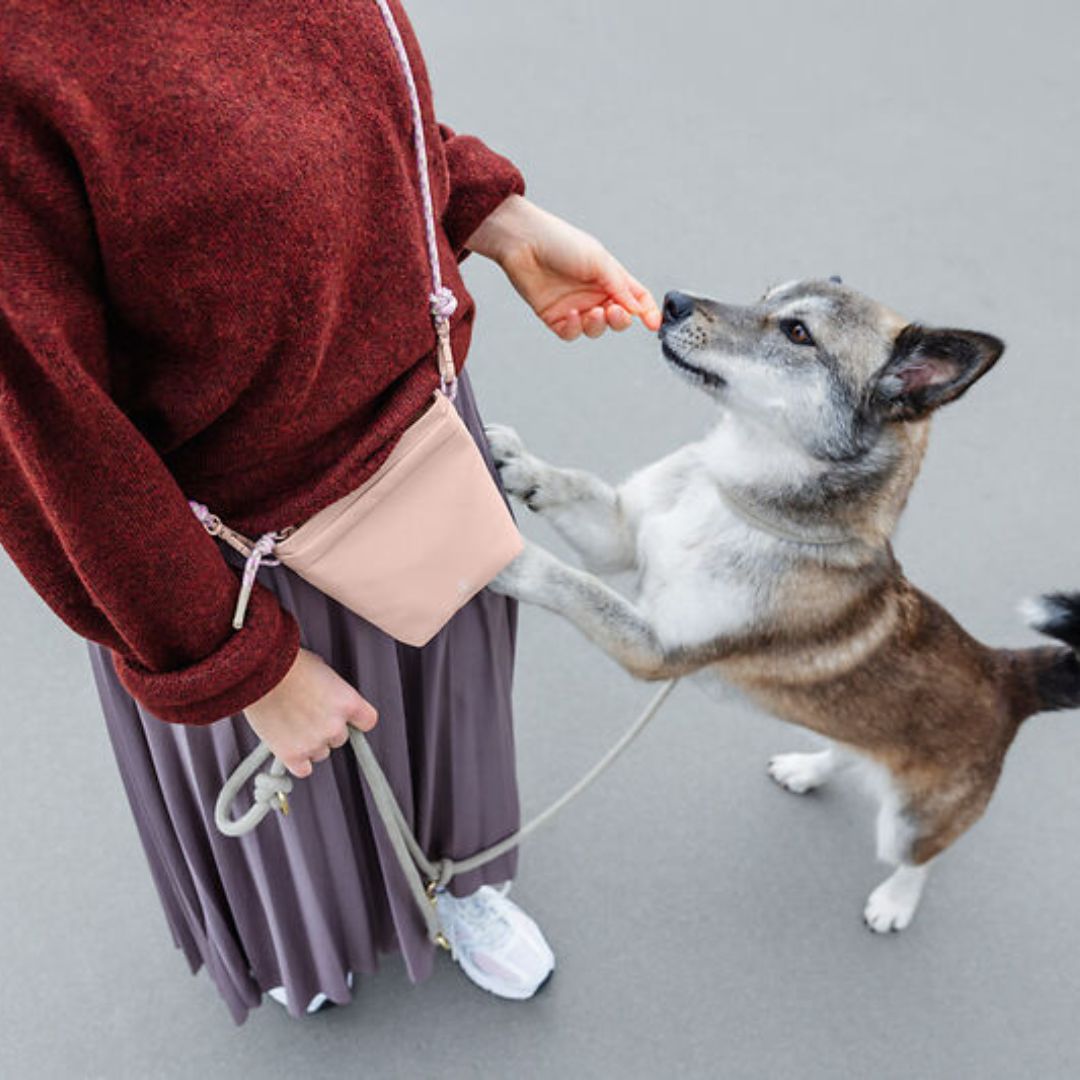 Palopa-Leckerlibeute-Karl-Soft-Pink-Mood3