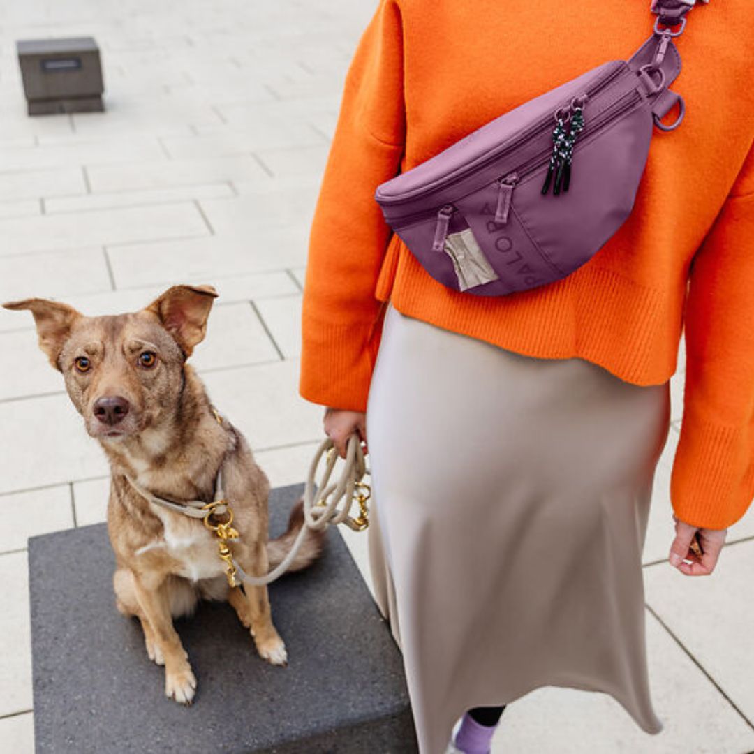Palopa-Leckerlibeutel-Gassitasche-Emma-Berry-Mood